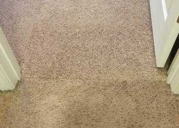 Residential - After Carpet Repair
