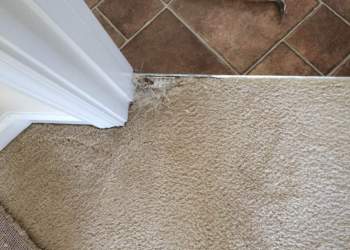 Residential - Before Carpet Repair