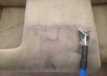 Couch Cushion - Before Upholstery Cleaning