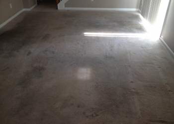 College Rental Home - Before Carpet Cleaning
