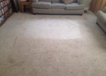 Family Room - Before Carpet Cleaning