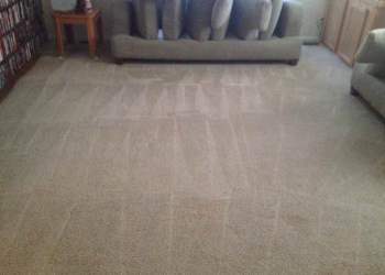 Family Room - After Carpet Cleaning