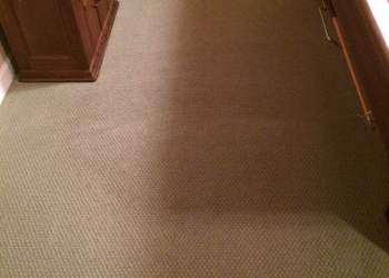 Pet Stain Removal - After Carpet Cleaning