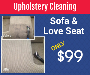 upholstery-cleaning-coupon-New